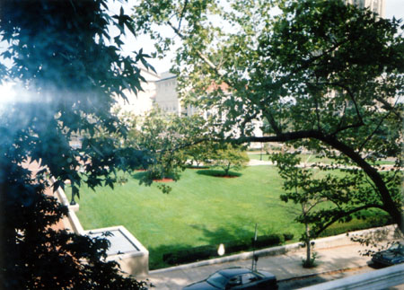 WeddingScan037