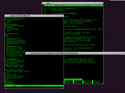screen shot from before the patch was applied